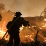 Climate Emergency: World Hits 1.5°C Over 12 Months